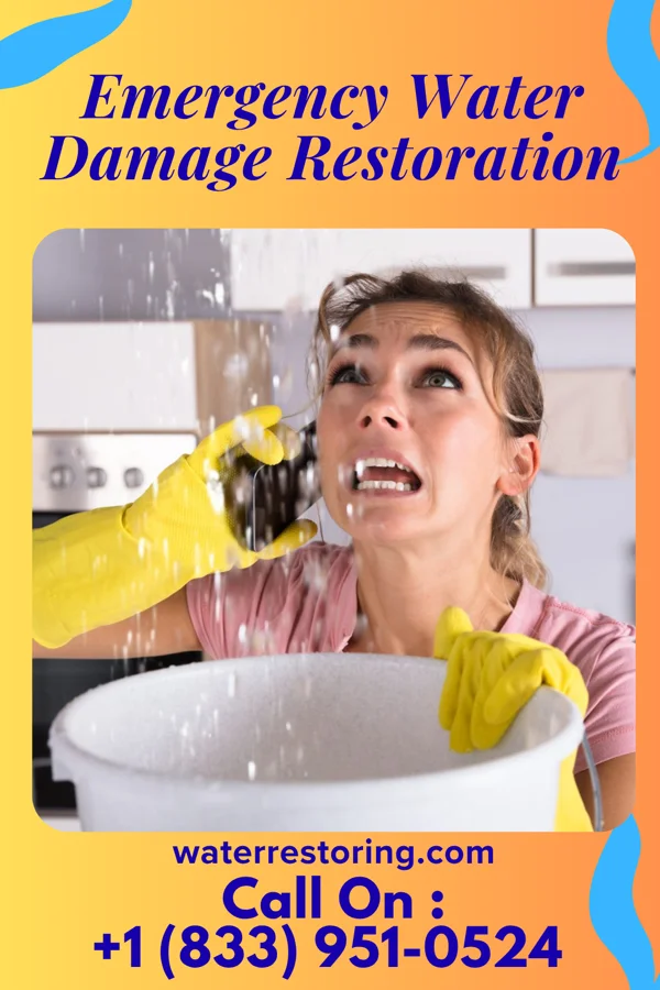 Emergency Water Damage Restoration in Somonauk, IL